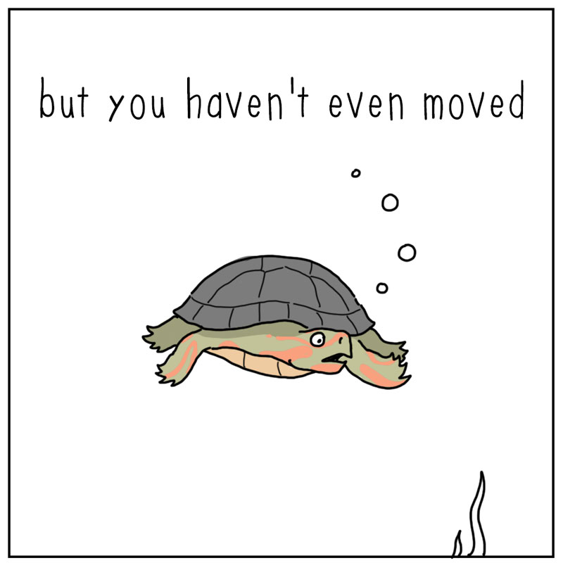 https://cdn.tinyview.com/they-can-talk/2023/10/09/hunting/turtle_hunting3.jpg