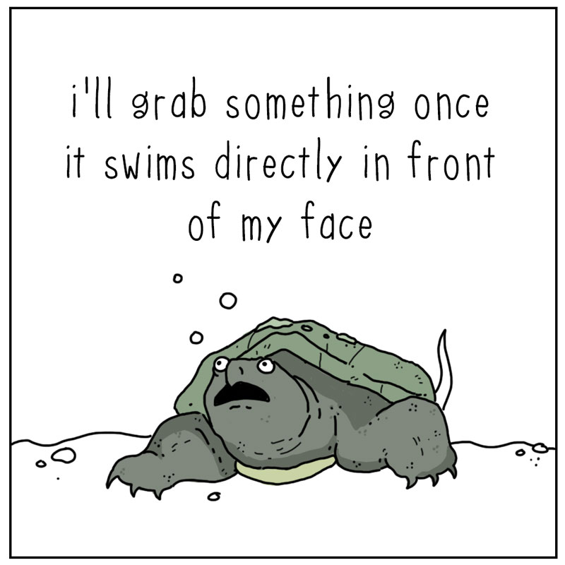 https://cdn.tinyview.com/they-can-talk/2023/10/09/hunting/turtle_hunting4.jpg