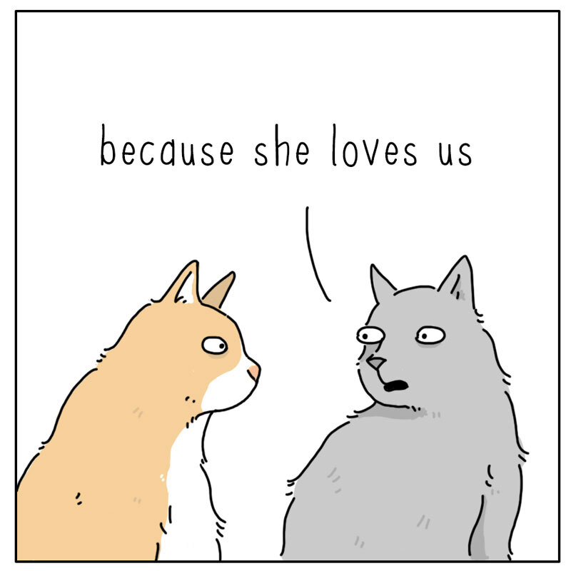 https://cdn.tinyview.com/they-can-talk/2023/10/13/meowing/cat_meowing2.jpg