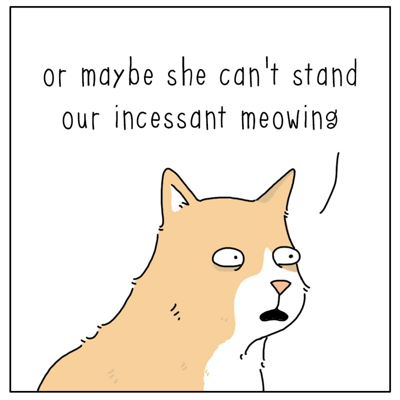 https://cdn.tinyview.com/they-can-talk/2023/10/13/meowing/cat_meowing3.jpg