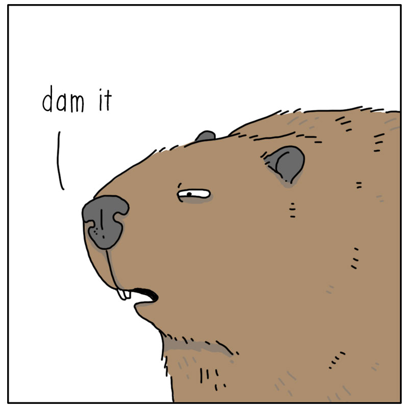 https://cdn.tinyview.com/they-can-talk/2023/10/16/rain/beaver_damit2.jpg