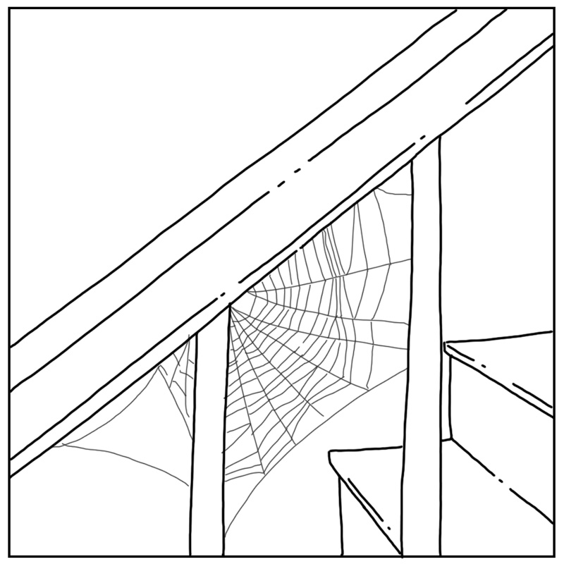 https://cdn.tinyview.com/they-can-talk/2023/10/20/webs/spiders_cobwebs3.jpg