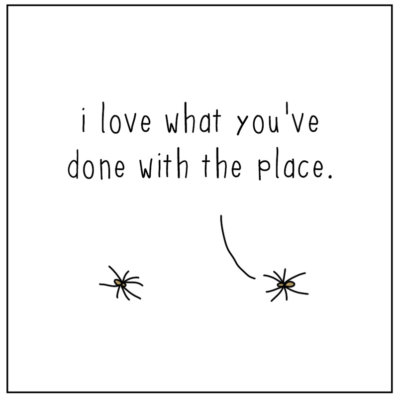 https://cdn.tinyview.com/they-can-talk/2023/10/20/webs/spiders_cobwebs4.jpg