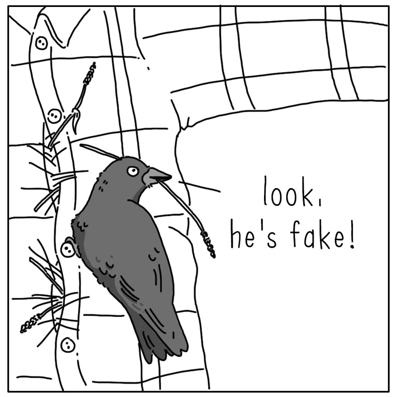 https://cdn.tinyview.com/they-can-talk/2023/10/27/scarecrow/crow_scarecrow2.jpg