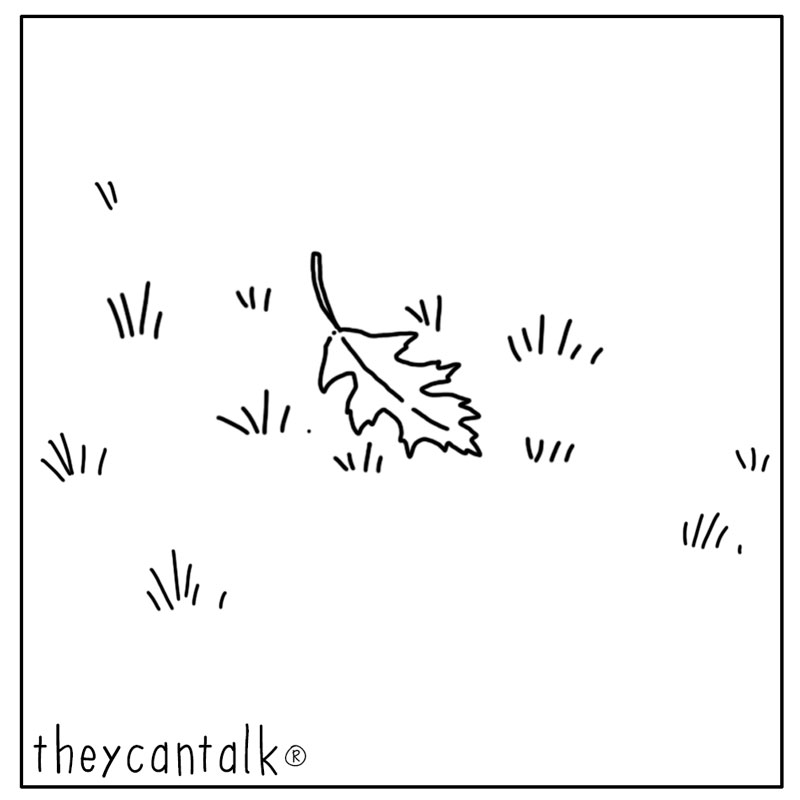 https://cdn.tinyview.com/they-can-talk/2023/10/30/leaves/squirrel_leaves1.jpg