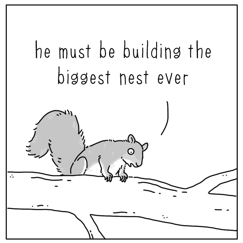 https://cdn.tinyview.com/they-can-talk/2023/10/30/leaves/squirrel_leaves4.jpg