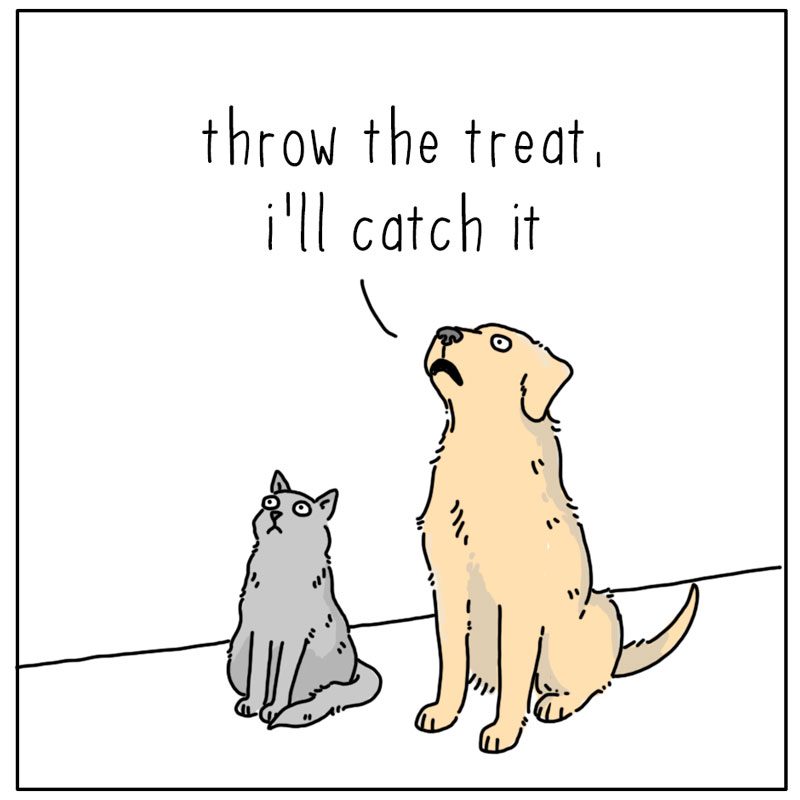 https://cdn.tinyview.com/they-can-talk/2023/11/03/treats/dog_treats1.jpg
