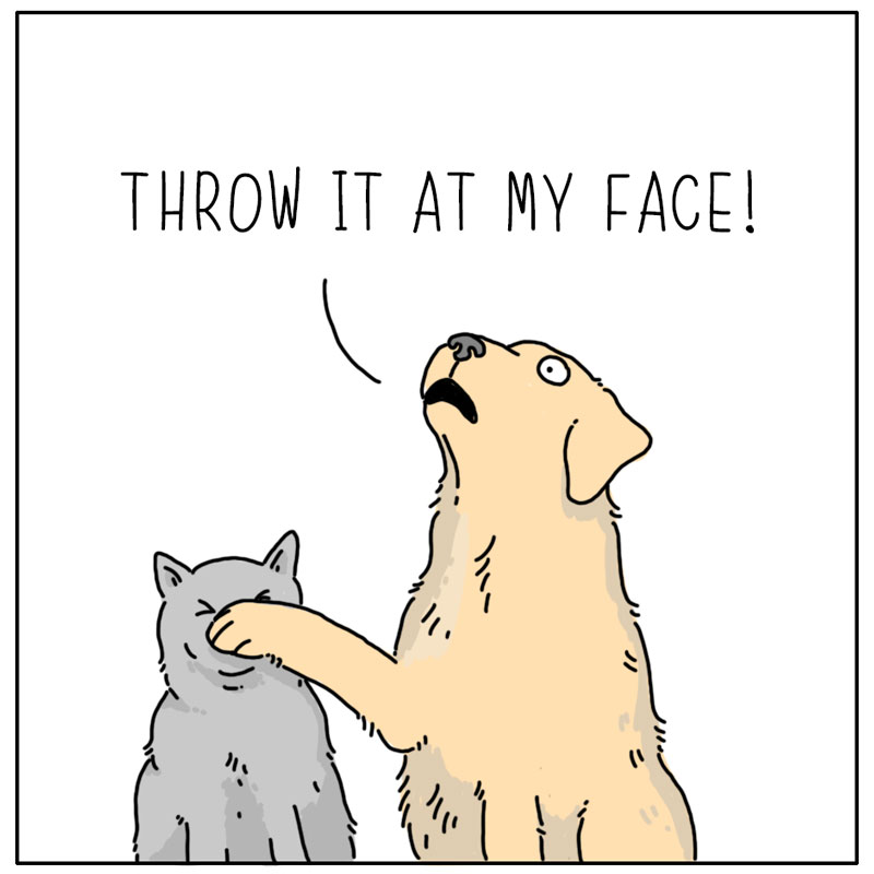 https://cdn.tinyview.com/they-can-talk/2023/11/03/treats/dog_treats4.jpg