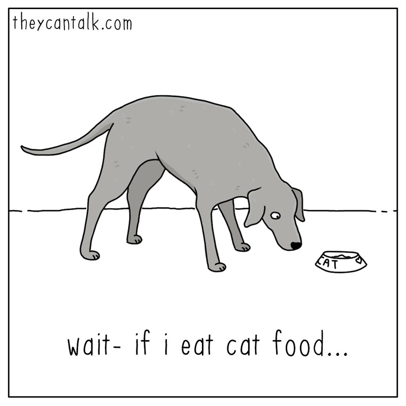 https://cdn.tinyview.com/they-can-talk/2023/11/10/technicality/dog_catfood1.jpg