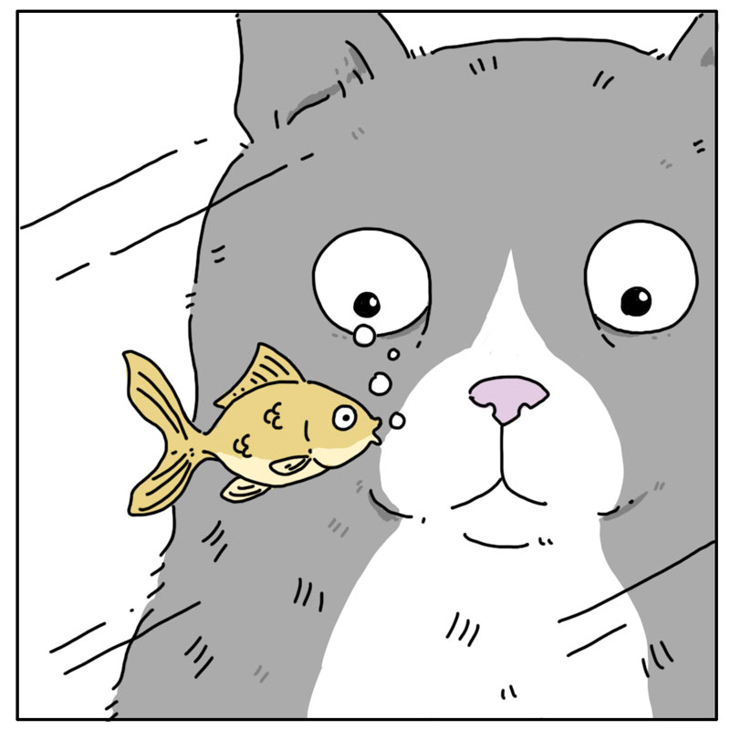 https://cdn.tinyview.com/they-can-talk/2023/11/13/question/cat_drownfish1.jpg