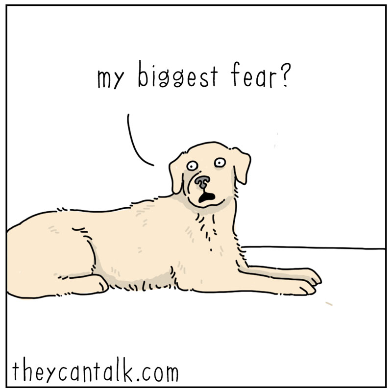 https://cdn.tinyview.com/they-can-talk/2023/11/17/fears/dog_fear3.jpg