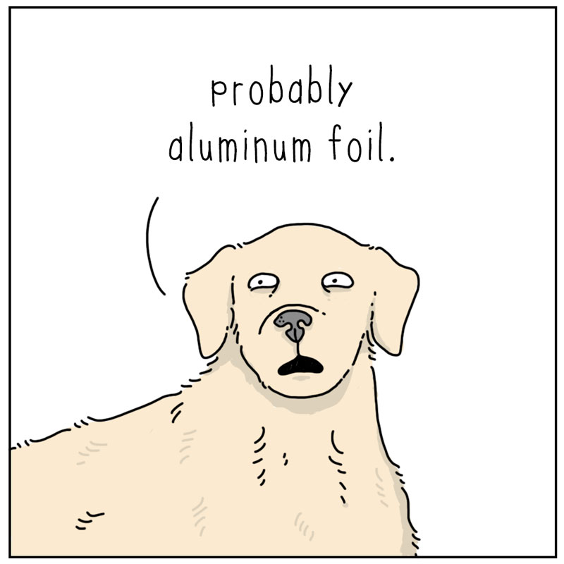 https://cdn.tinyview.com/they-can-talk/2023/11/17/fears/dog_fear4.jpg