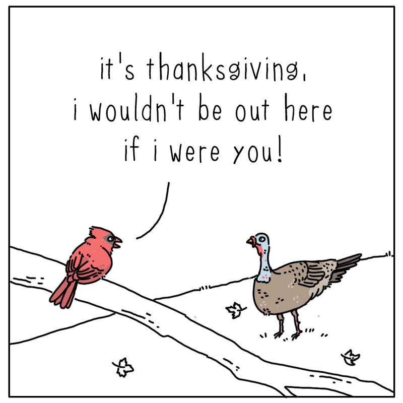 https://cdn.tinyview.com/they-can-talk/2023/11/20/thanksgiving/turkey_thanksgiving1.jpg