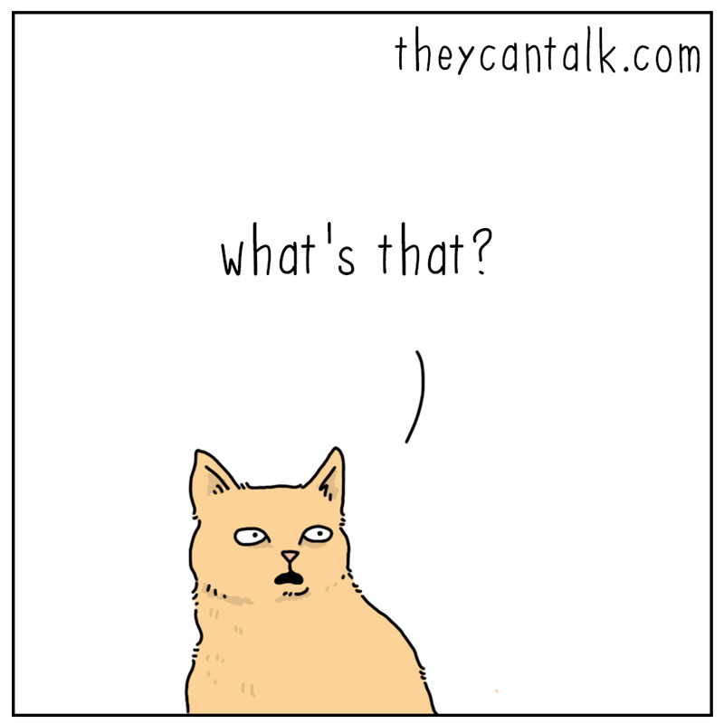 https://cdn.tinyview.com/they-can-talk/2023/11/24/armoire/cat_guilt2.jpg
