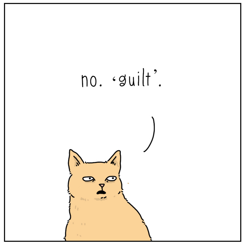 https://cdn.tinyview.com/they-can-talk/2023/11/24/armoire/cat_guilt4.jpg