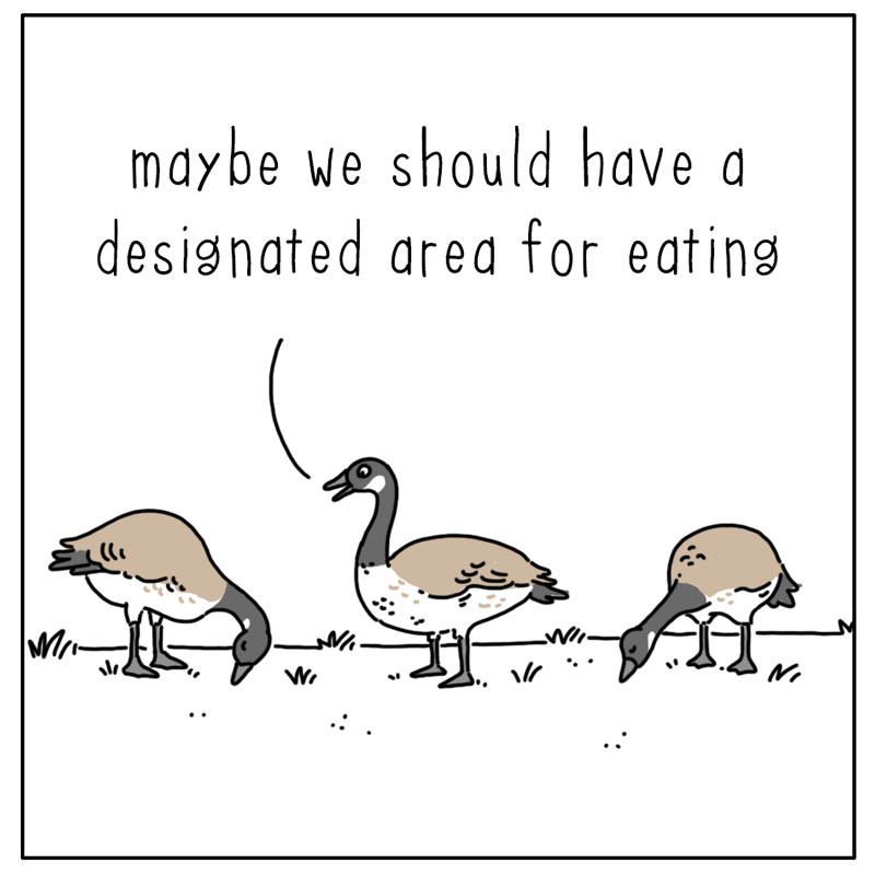 https://cdn.tinyview.com/they-can-talk/2023/11/25/designated-area/geese_designated1.jpg