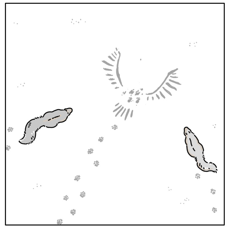 https://cdn.tinyview.com/they-can-talk/2023/12/01/wings/squirrel_wings3.jpg