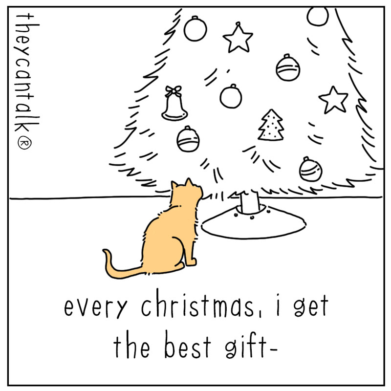 https://cdn.tinyview.com/they-can-talk/2023/12/04/gift/cat_xmastoys1.jpg