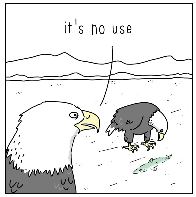 https://cdn.tinyview.com/they-can-talk/2023/12/08/options/eagle_windowshopping1.jpg