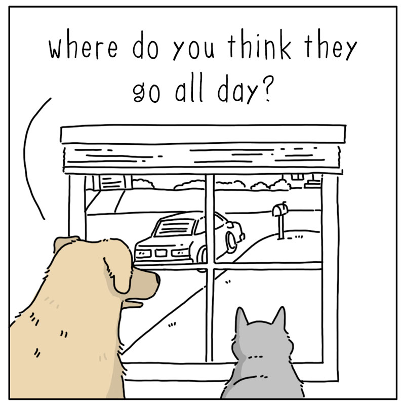 https://cdn.tinyview.com/they-can-talk/2023/12/11/away/dog_petotherdogs1.jpg