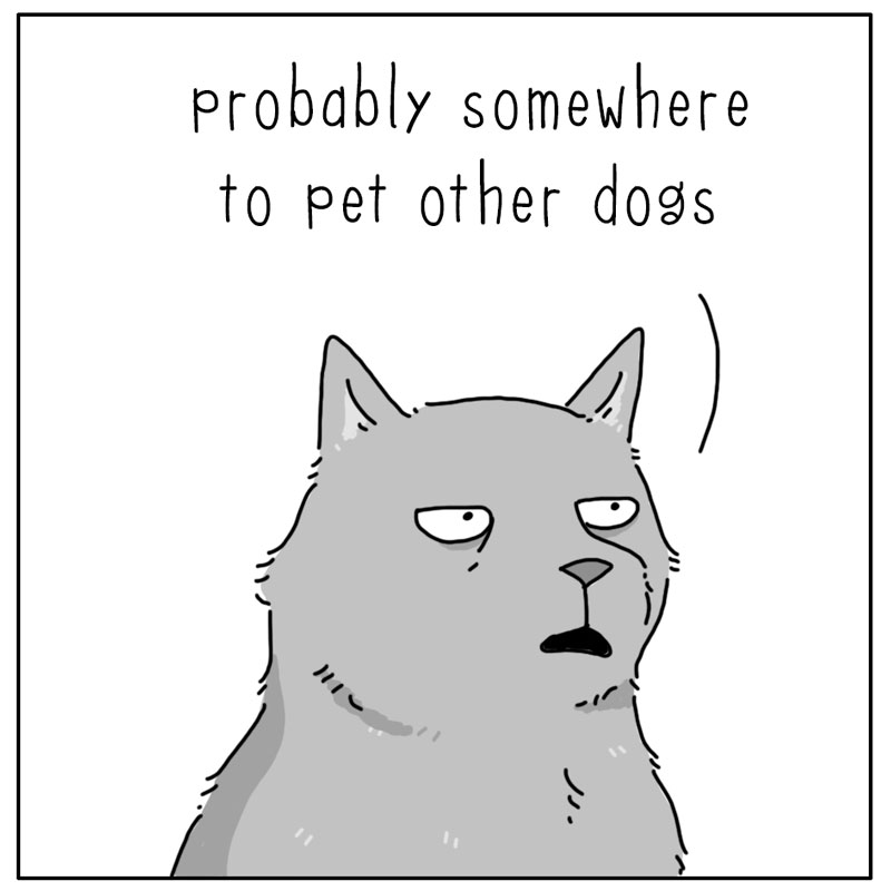 https://cdn.tinyview.com/they-can-talk/2023/12/11/away/dog_petotherdogs2.jpg