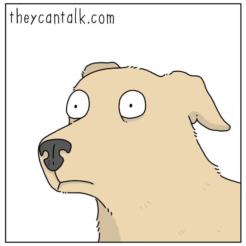 https://cdn.tinyview.com/they-can-talk/2023/12/11/away/dog_petotherdogs3.jpg