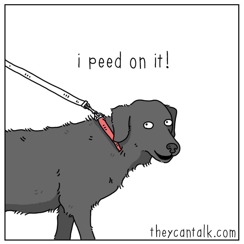 https://cdn.tinyview.com/they-can-talk/2023/12/15/christmas-tree/dog_christmastree4.jpg