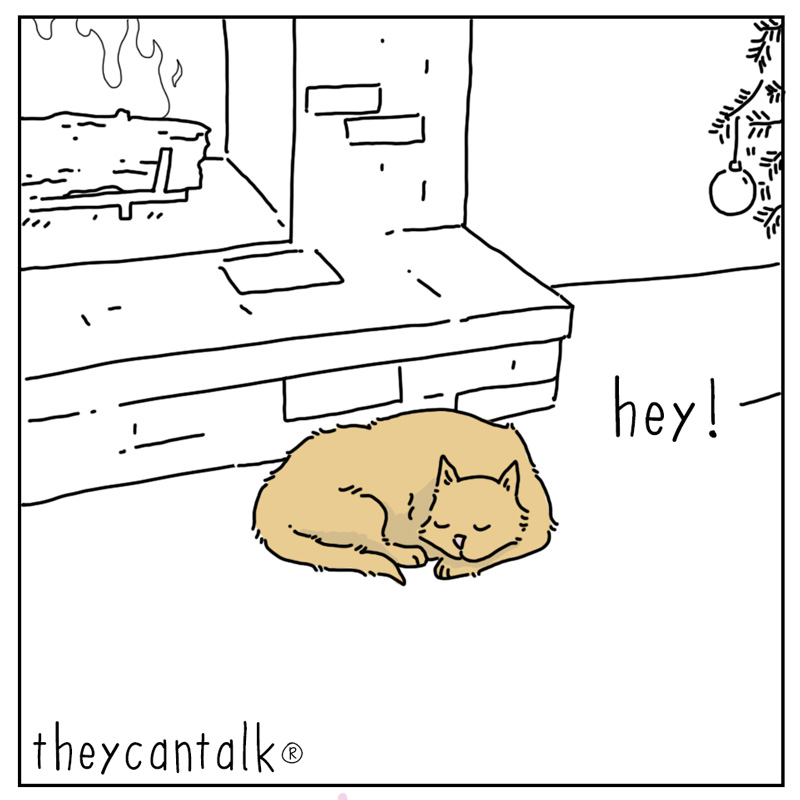 https://cdn.tinyview.com/they-can-talk/2023/12/18/announcement/cat_present1.jpg