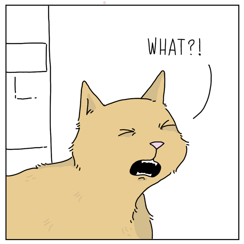 https://cdn.tinyview.com/they-can-talk/2023/12/18/announcement/cat_present3.jpg