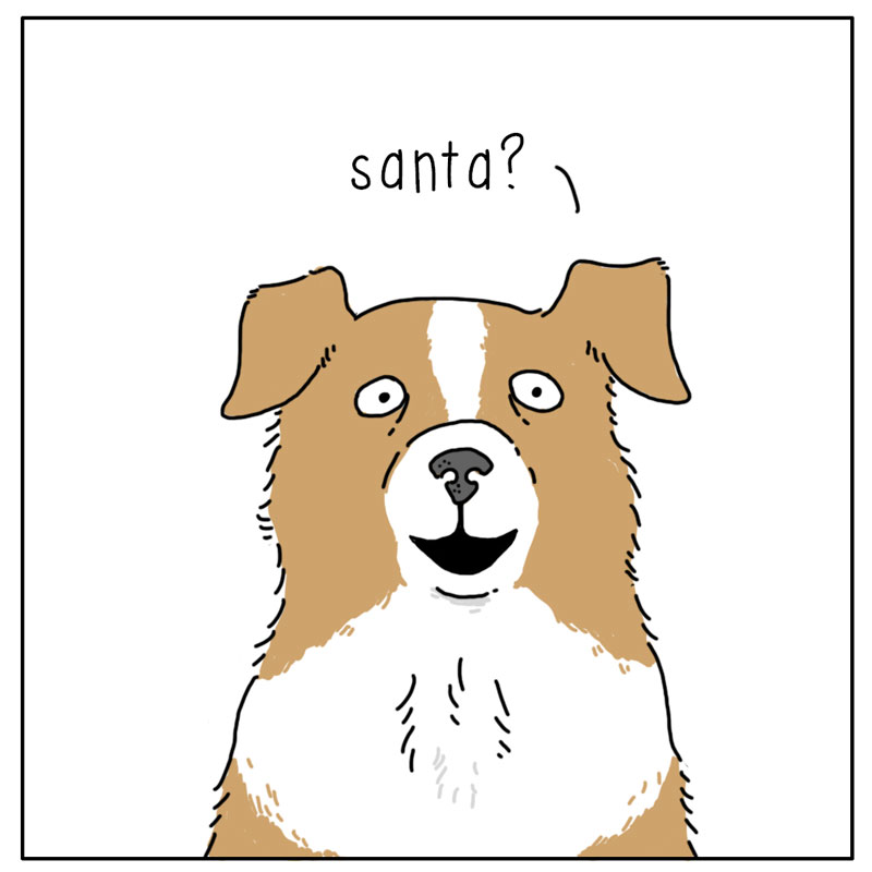 https://cdn.tinyview.com/they-can-talk/2023/12/22/santa/raccoon_santa2.jpg