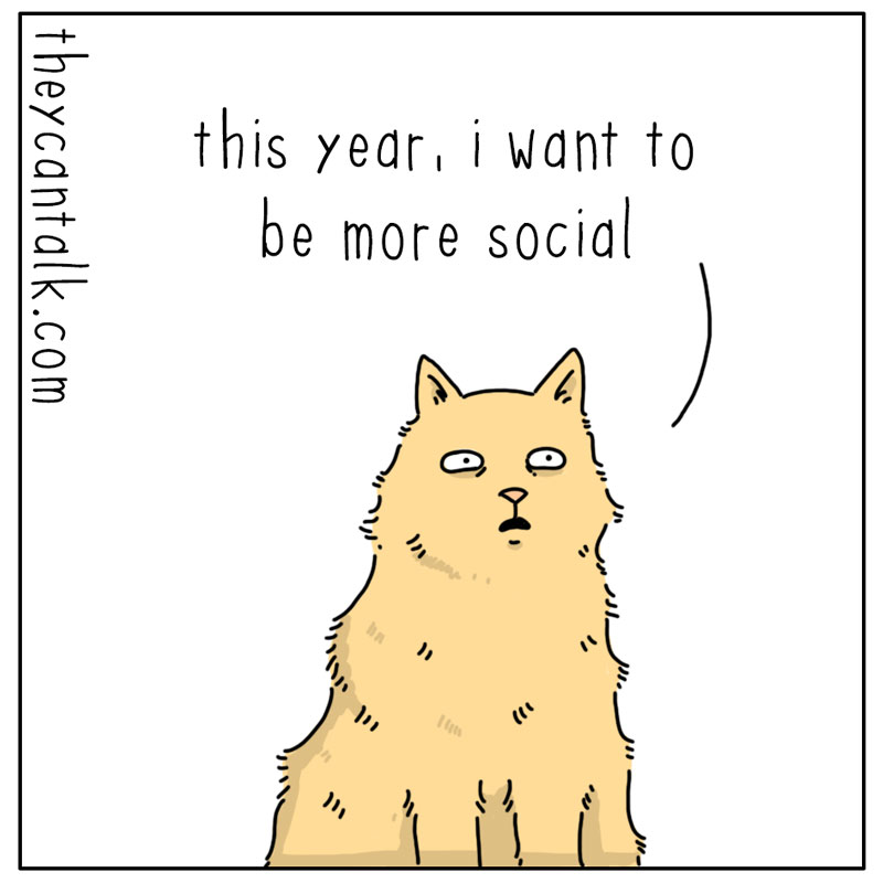 https://cdn.tinyview.com/they-can-talk/2023/12/29/social/cat_social1.jpg