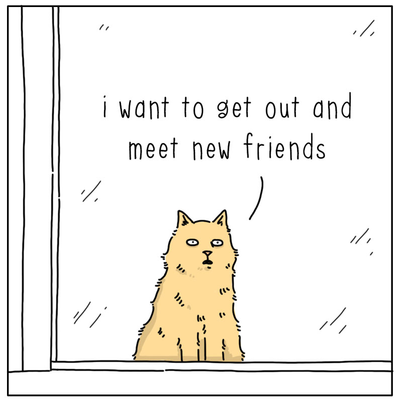 https://cdn.tinyview.com/they-can-talk/2023/12/29/social/cat_social2.jpg