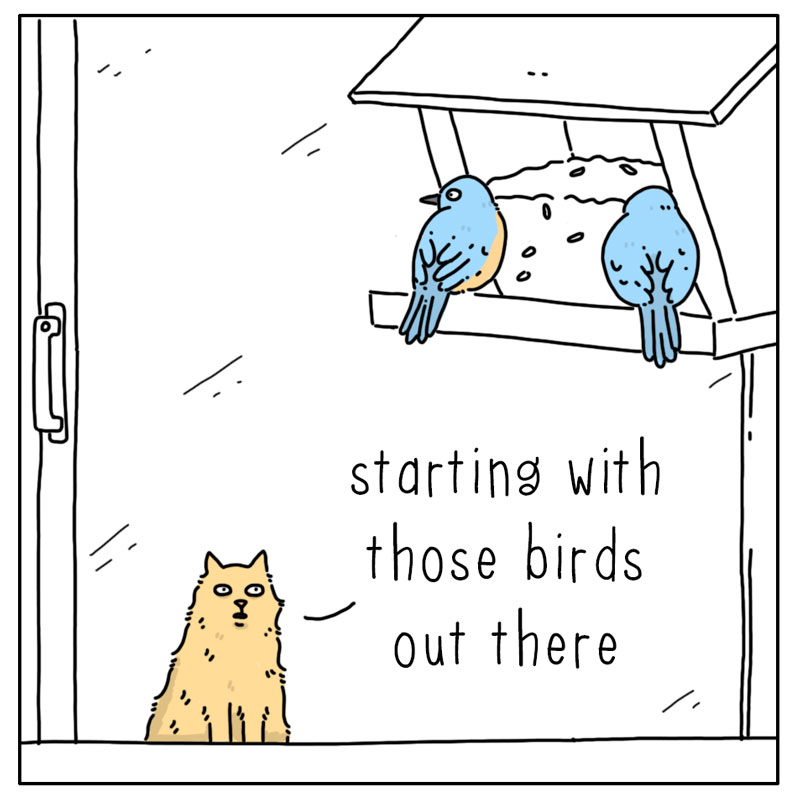 https://cdn.tinyview.com/they-can-talk/2023/12/29/social/cat_social3.jpg
