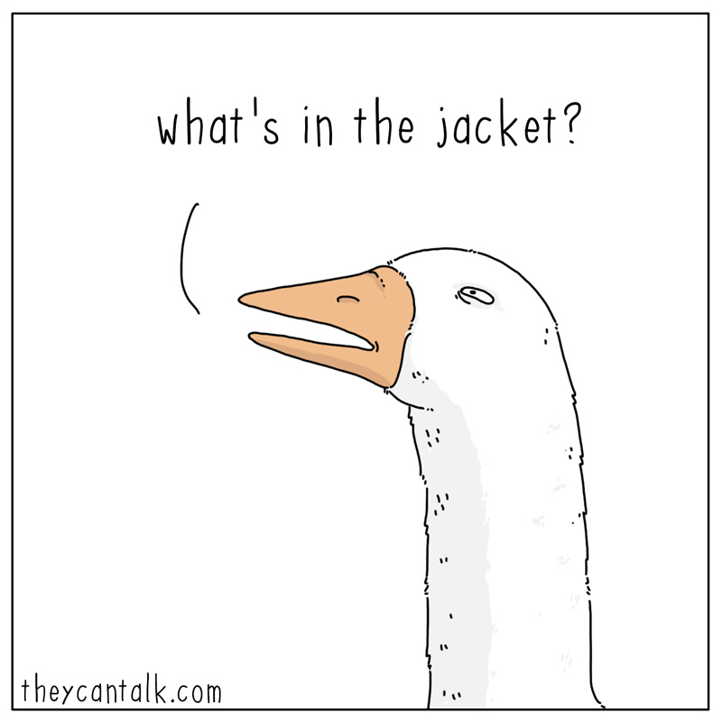 https://cdn.tinyview.com/they-can-talk/2024/01/05/jacket/goose_jacket1.jpg