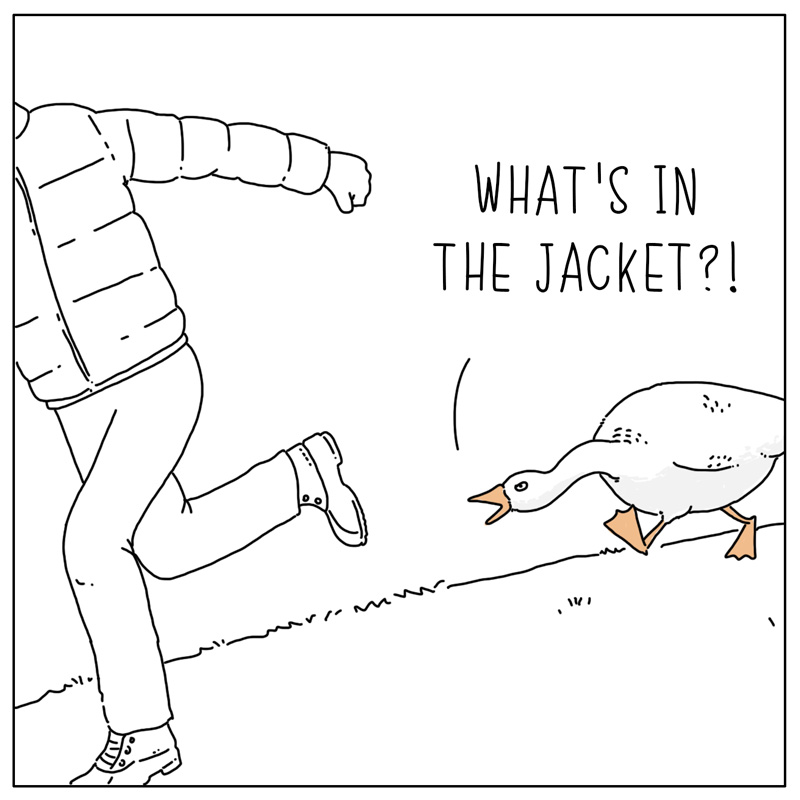 https://cdn.tinyview.com/they-can-talk/2024/01/05/jacket/goose_jacket2.jpg