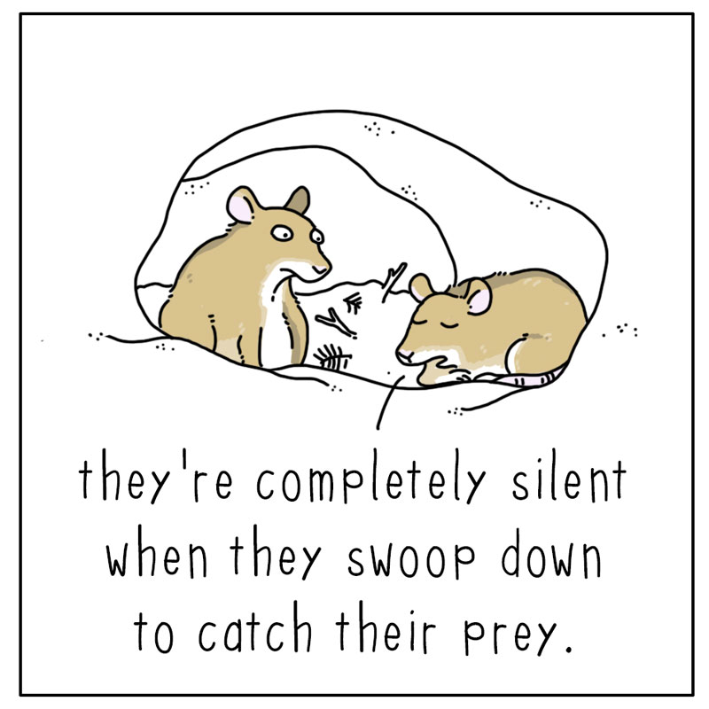 https://cdn.tinyview.com/they-can-talk/2024/01/08/relax/mouse_owl3.jpg