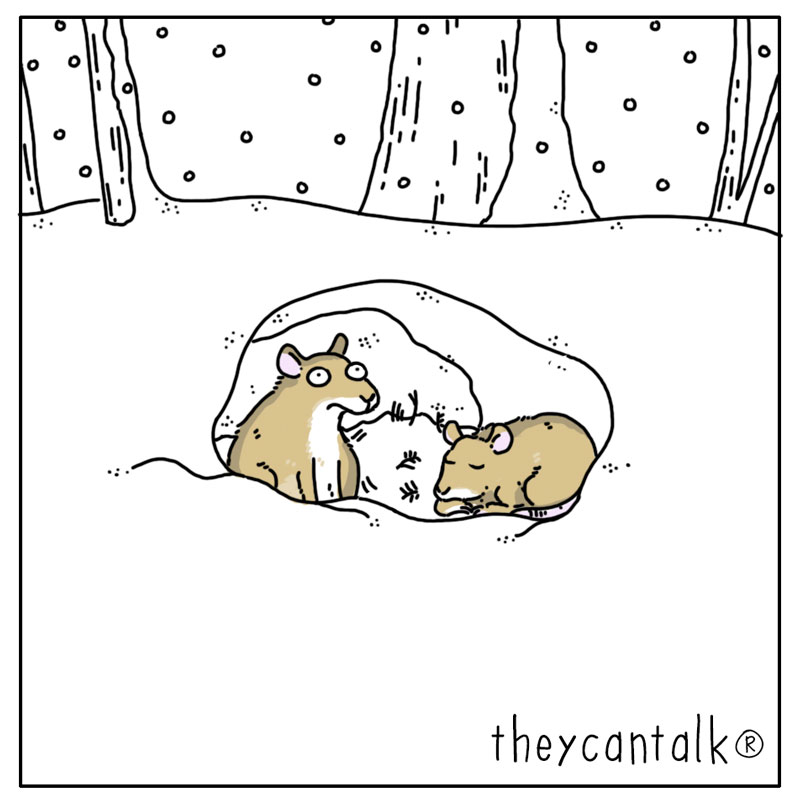 https://cdn.tinyview.com/they-can-talk/2024/01/08/relax/mouse_owl4.jpg