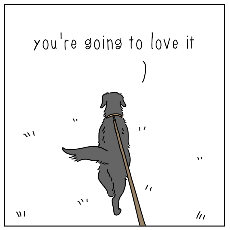 https://cdn.tinyview.com/they-can-talk/2024/01/12/garbage/dog_garbage2.jpg