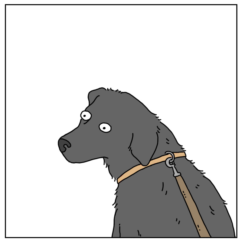 https://cdn.tinyview.com/they-can-talk/2024/01/12/garbage/dog_garbage3.jpg