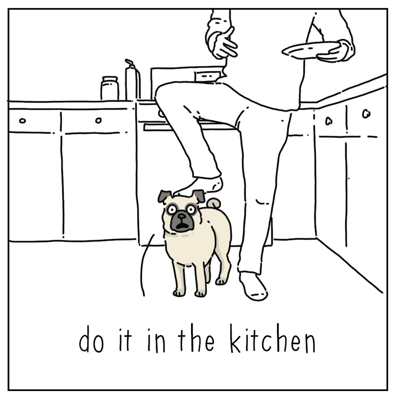 https://cdn.tinyview.com/they-can-talk/2024/01/15/trip/dog_trip2.jpg