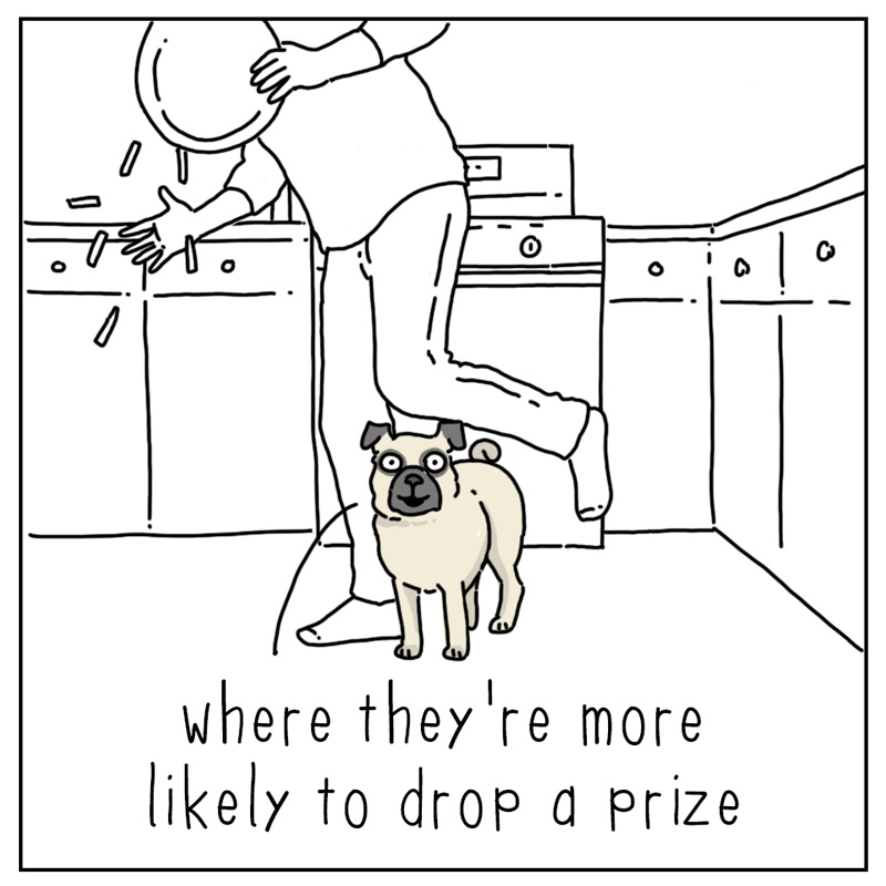 https://cdn.tinyview.com/they-can-talk/2024/01/15/trip/dog_trip3.jpg