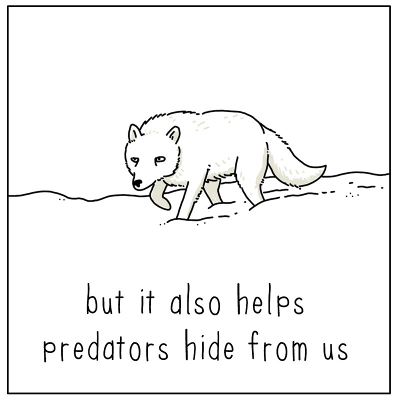 https://cdn.tinyview.com/they-can-talk/2024/01/19/snow/rabbit_snow2.jpg