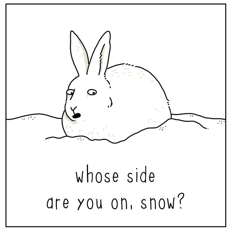 https://cdn.tinyview.com/they-can-talk/2024/01/19/snow/rabbit_snow3.jpg