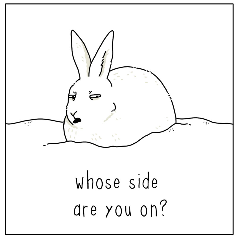 https://cdn.tinyview.com/they-can-talk/2024/01/19/snow/rabbit_snow4.jpg