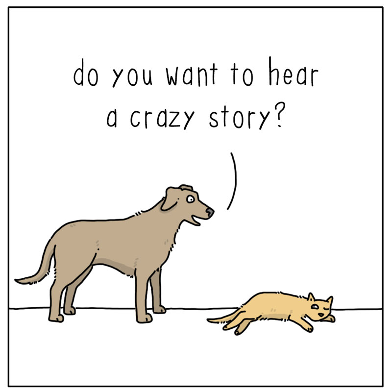 https://cdn.tinyview.com/they-can-talk/2024/01/22/story/dog_story1.jpg