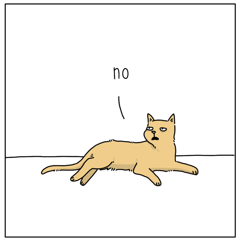 https://cdn.tinyview.com/they-can-talk/2024/01/22/story/dog_story2.jpg