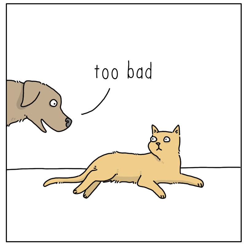 https://cdn.tinyview.com/they-can-talk/2024/01/22/story/dog_story3.jpg