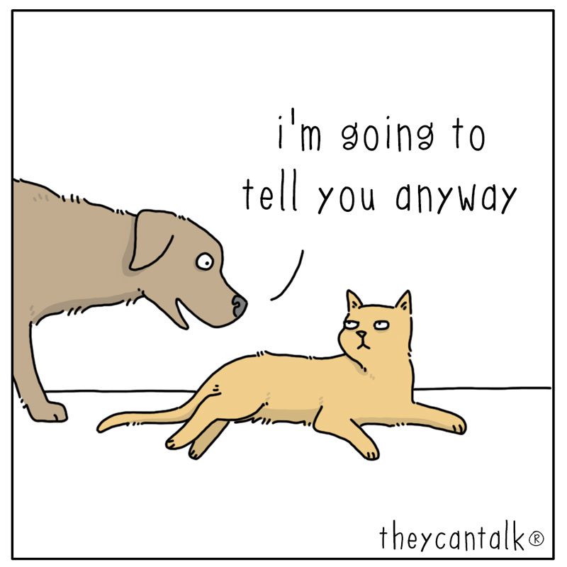 https://cdn.tinyview.com/they-can-talk/2024/01/22/story/dog_story4.jpg