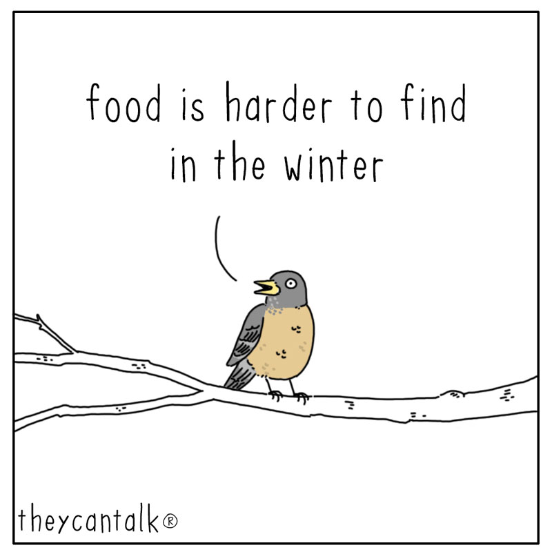 https://cdn.tinyview.com/they-can-talk/2024/01/28/empty/bird_empty1.jpg
