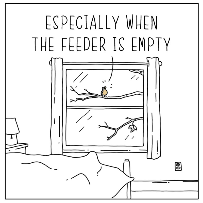 https://cdn.tinyview.com/they-can-talk/2024/01/28/empty/bird_empty3.jpg
